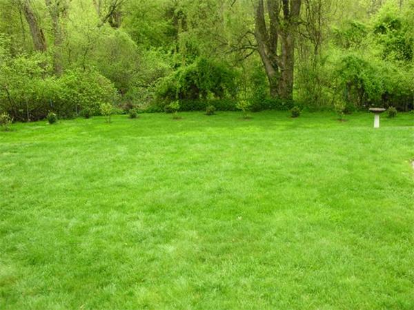 21 Snake Brook Road Wayland, MA 01778 - Photo 4 of 21 Gallery Image 4