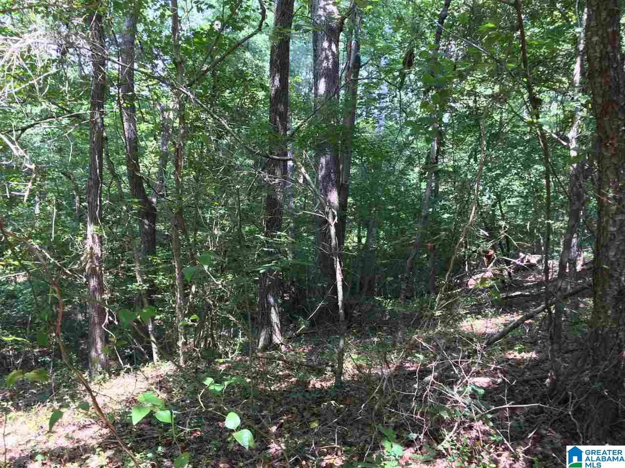Spunky Hollow Road, Unit 18 7 Oneonta, AL 35121 - Photo 41 of 46