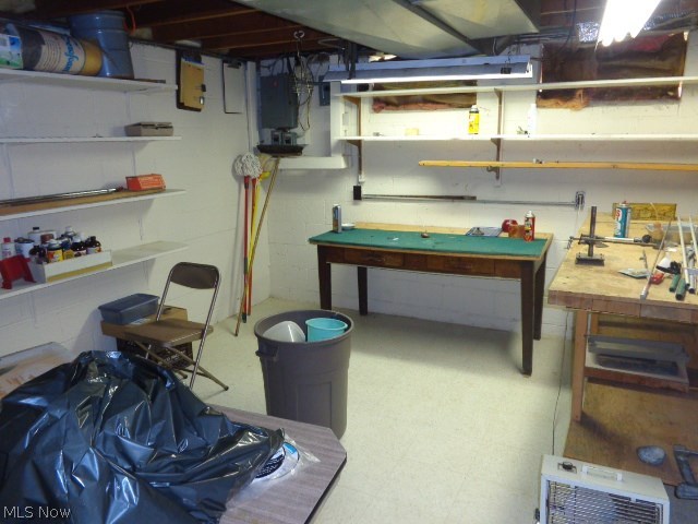 7870 Hoertz Road Cleveland, OH 44134 - Photo 15 of 17 Basement Storage Room