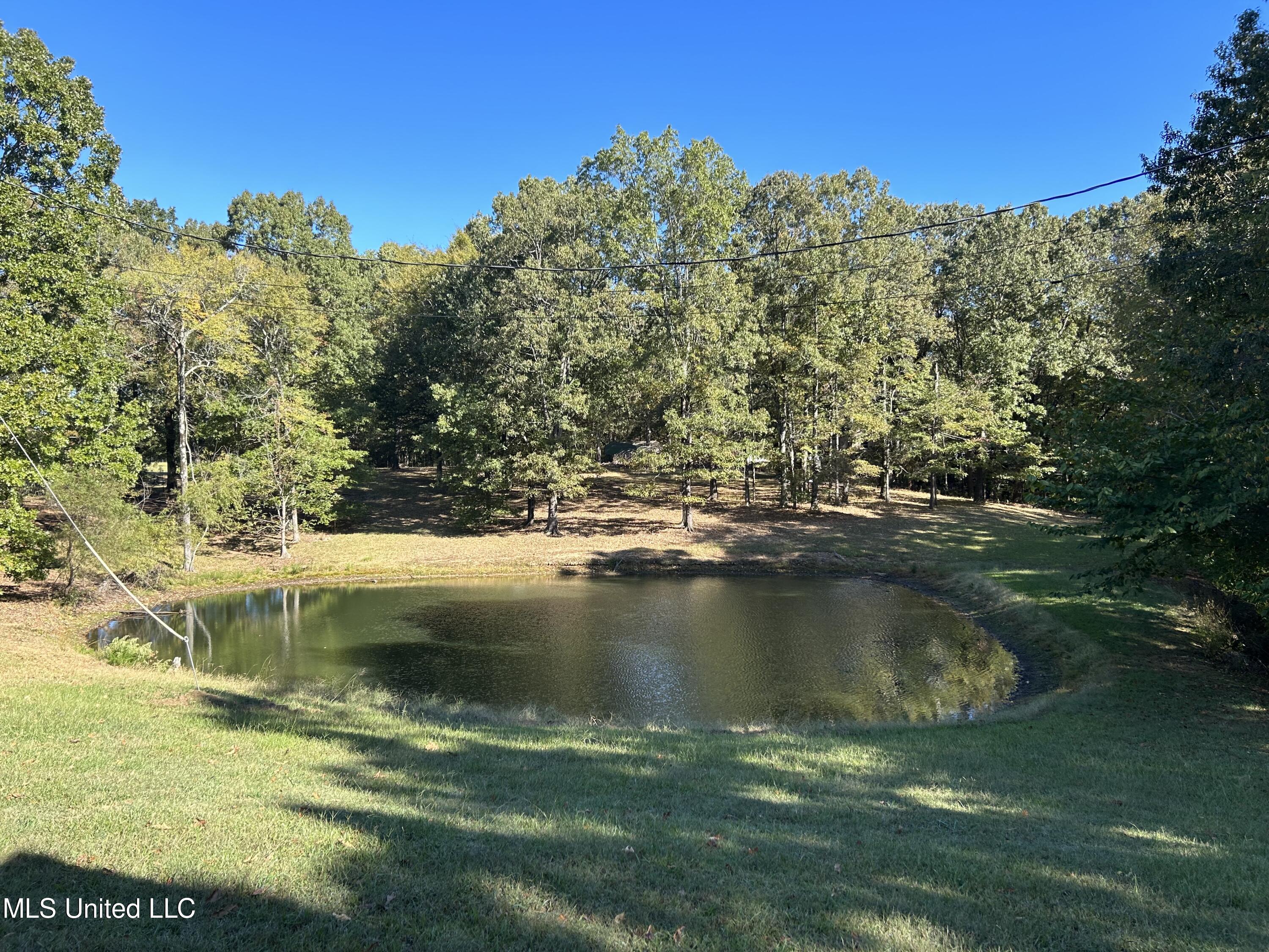 2100 Jr Johnson Road Sardis, MS 38666 - Photo 8 of 19 AFFAFDD7-9B09-4AEB-A989-3D9F89AB5E9F