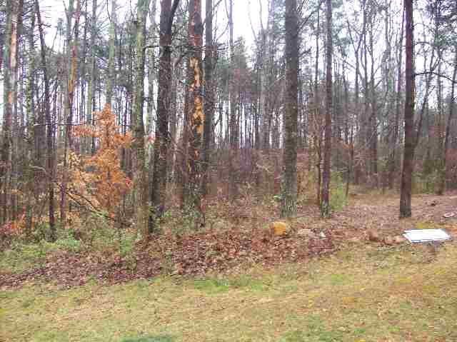 62 Colony Road Travelers Rest, SC 29690 - Photo 4 of 6 Gallery Image 4