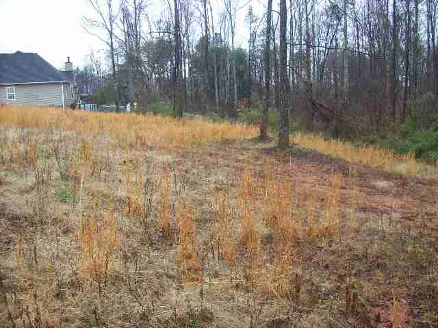 62 Colony Road Travelers Rest, SC 29690 - Photo 6 of 6 Gallery Image 6