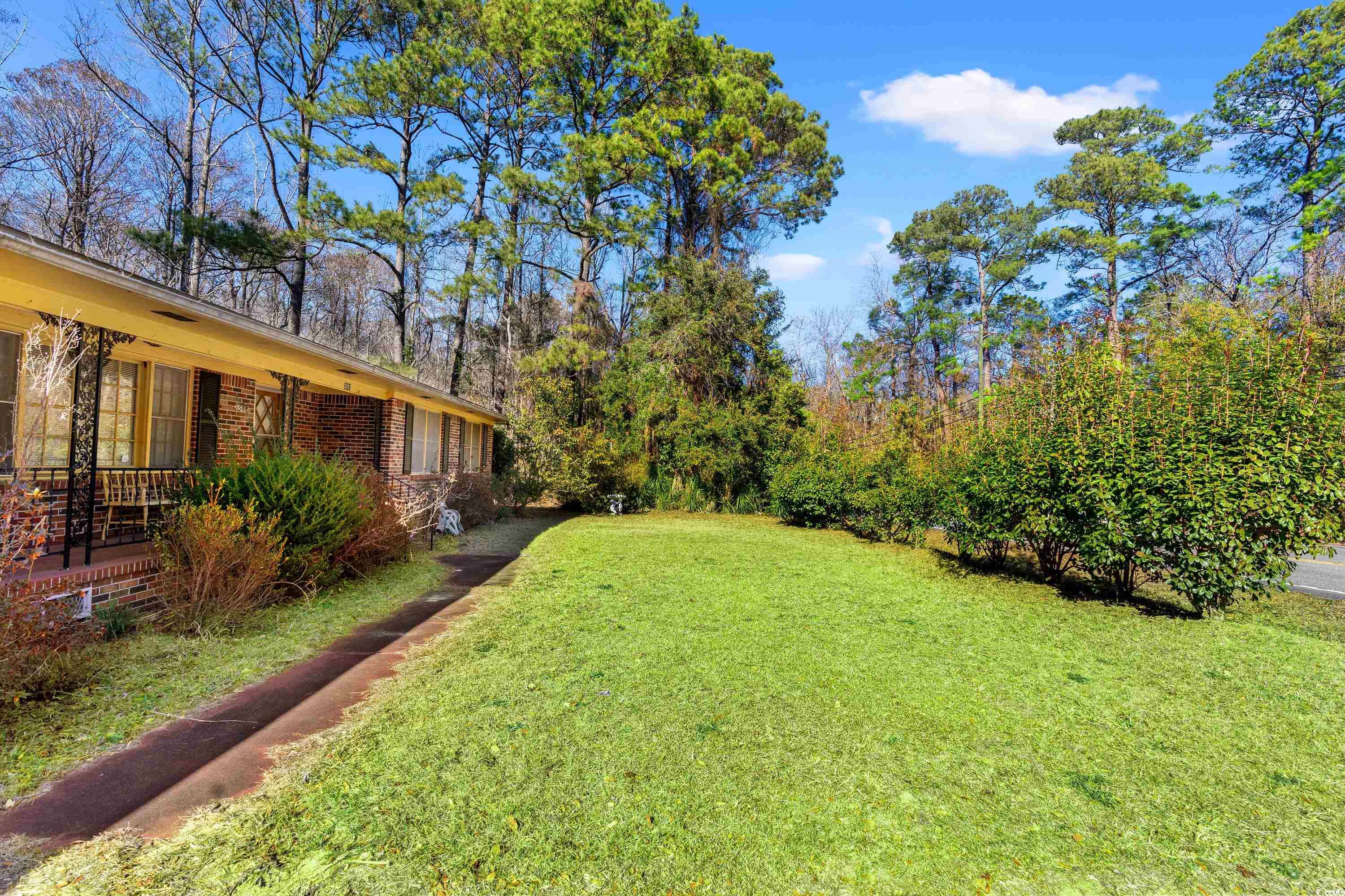 3592 South Island Road Georgetown, SC 29440 - Photo 13 of 24 View of yard