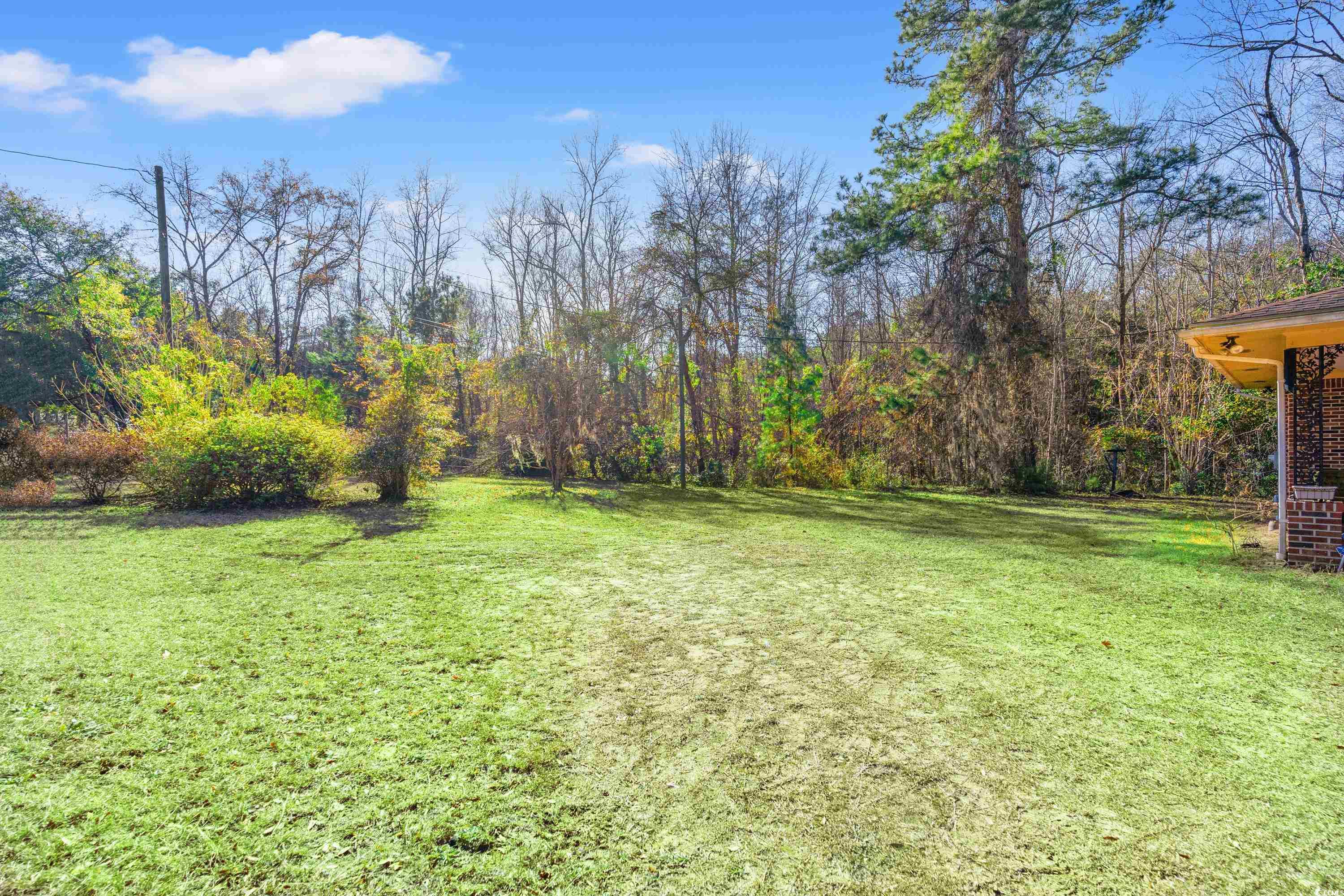 3592 South Island Road Georgetown, SC 29440 - Photo 16 of 24 View of yard