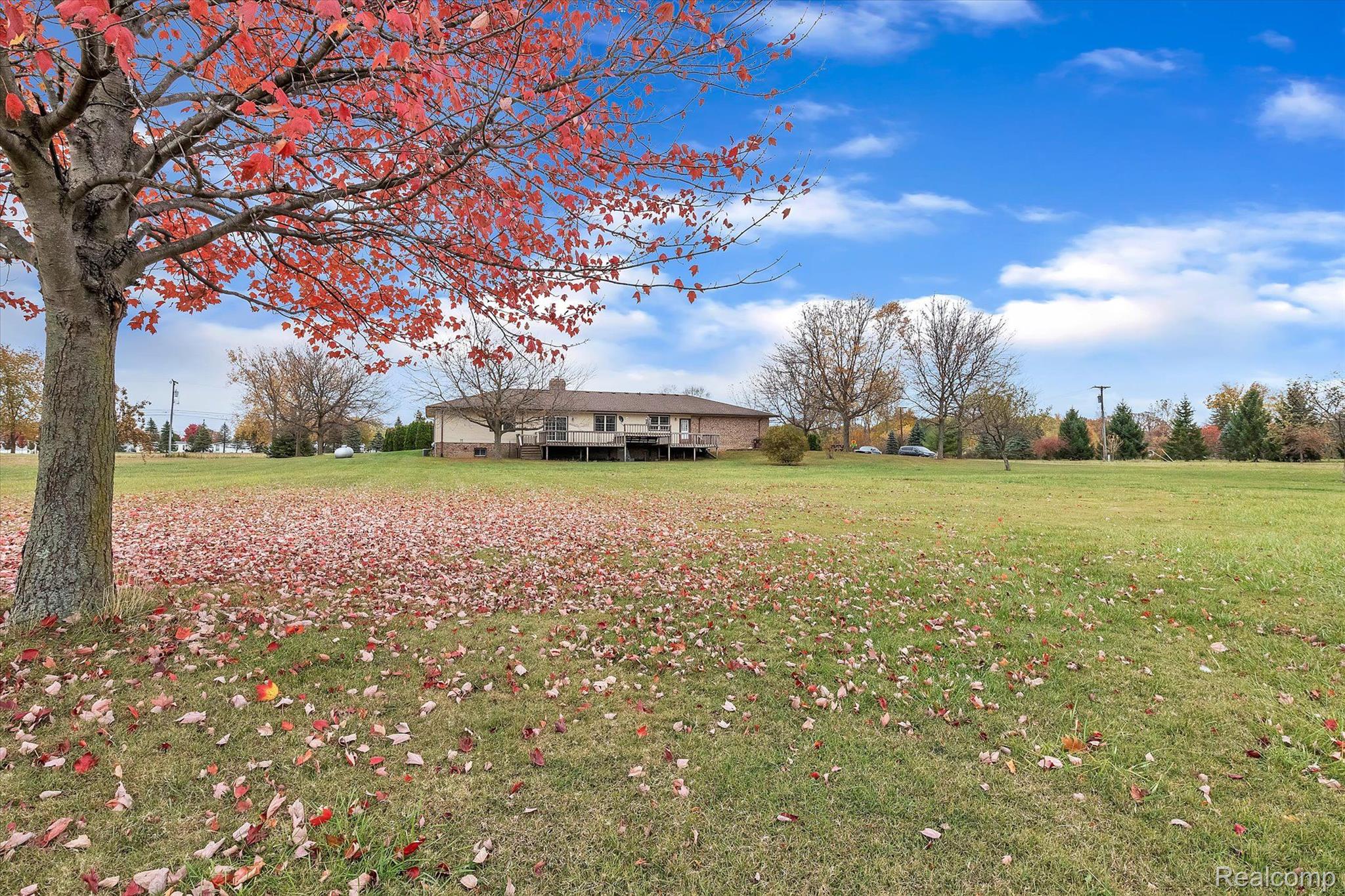 23700 Clark Road Belleville, MI 48111 - Photo 41 of 58 Backyard