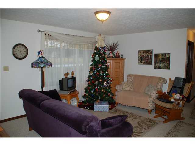 10701 Mc Intosh Road Pataskala, OH 43062 - Photo 4 of 20