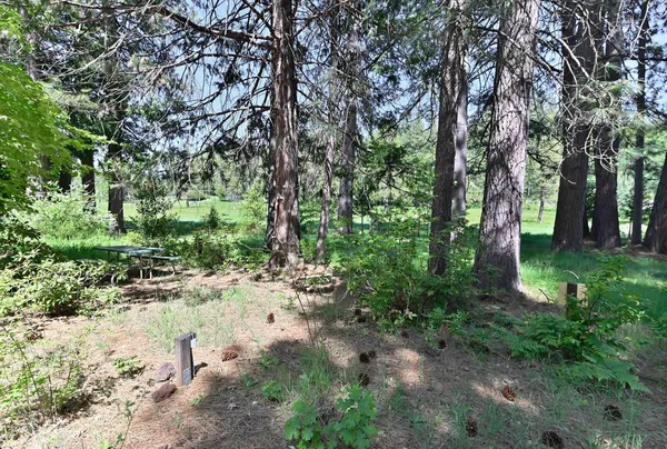 $539,000 | 1801 Pine Drive, Arnold, CA 95223