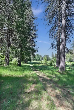 $539,000 | 1801 Pine Drive, Arnold, CA 95223