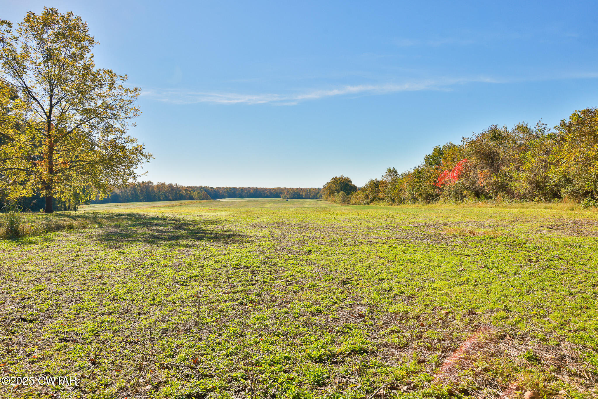 4030 Shades Bridge Road Greenfield, TN 38230 - Photo 21 of 27 a view of an ocean