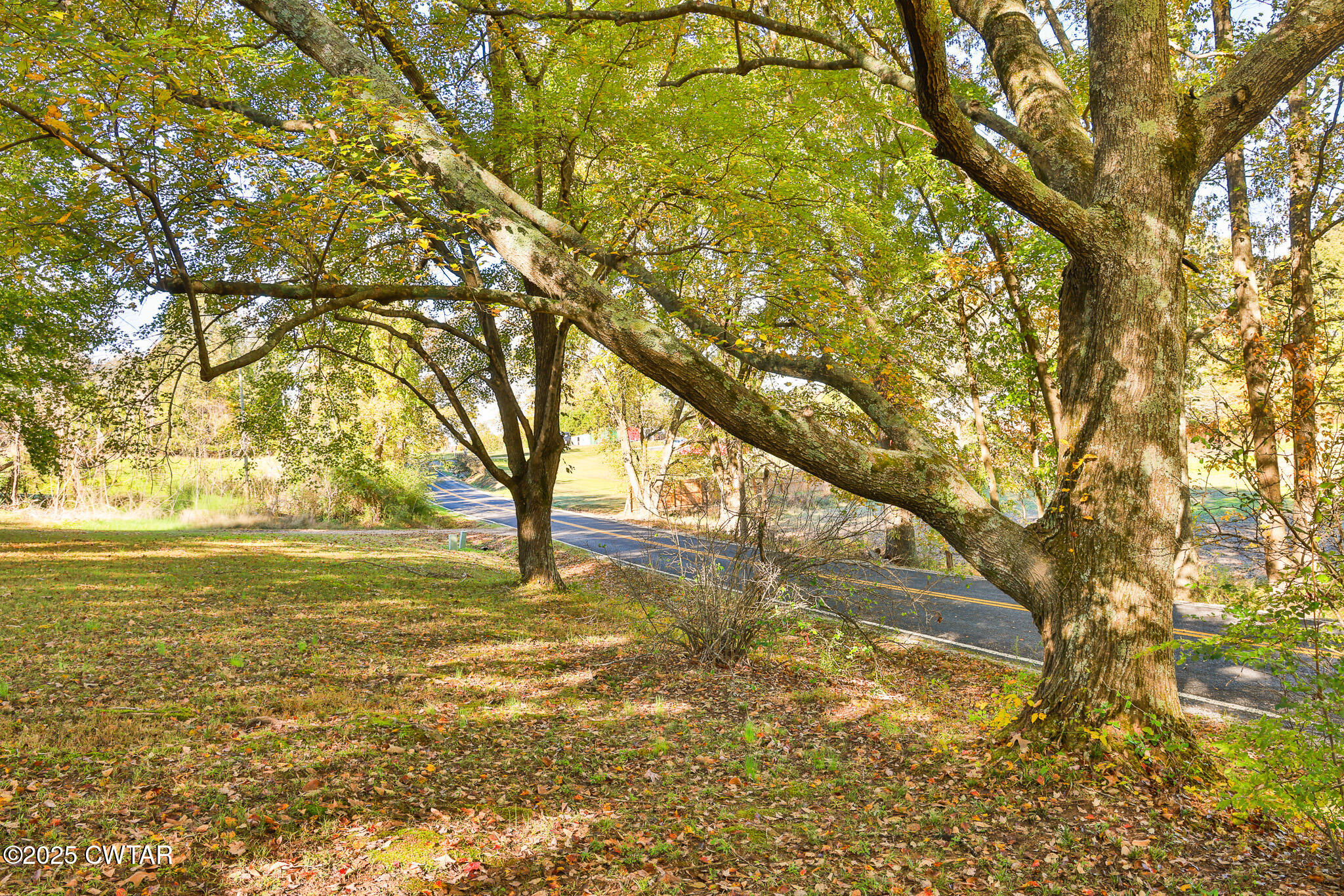 4030 Shades Bridge Road Greenfield, TN 38230 - Photo 25 of 27 a view of an ocean