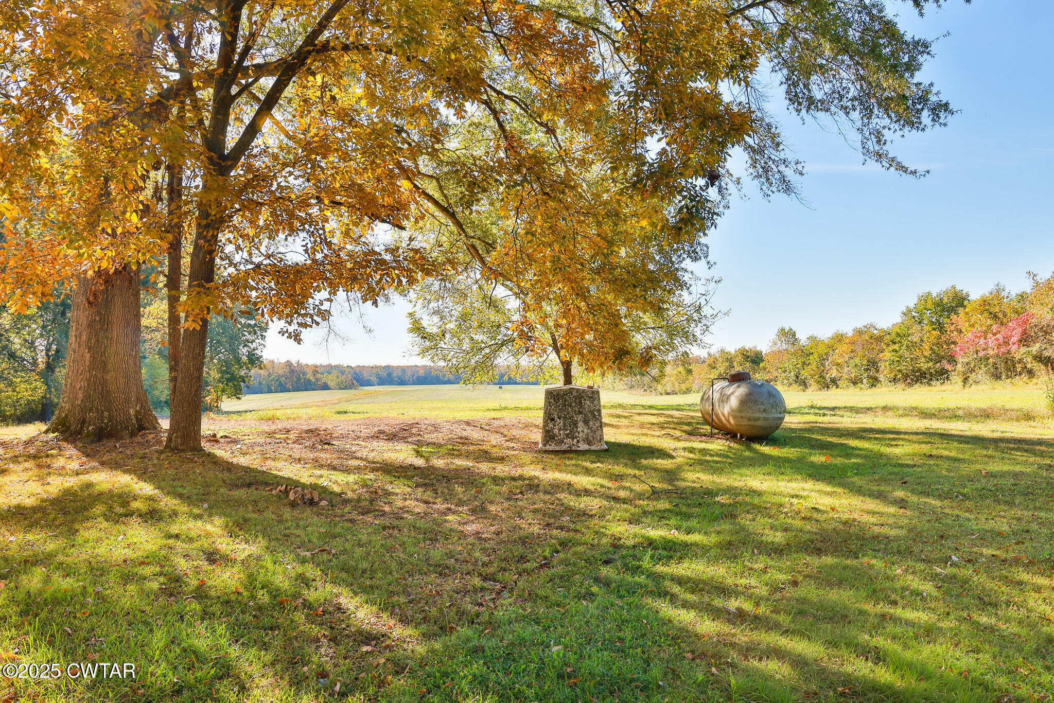 4030 Shades Bridge Road Greenfield, TN 38230 - Photo 26 of 27 a view of yard with trees
