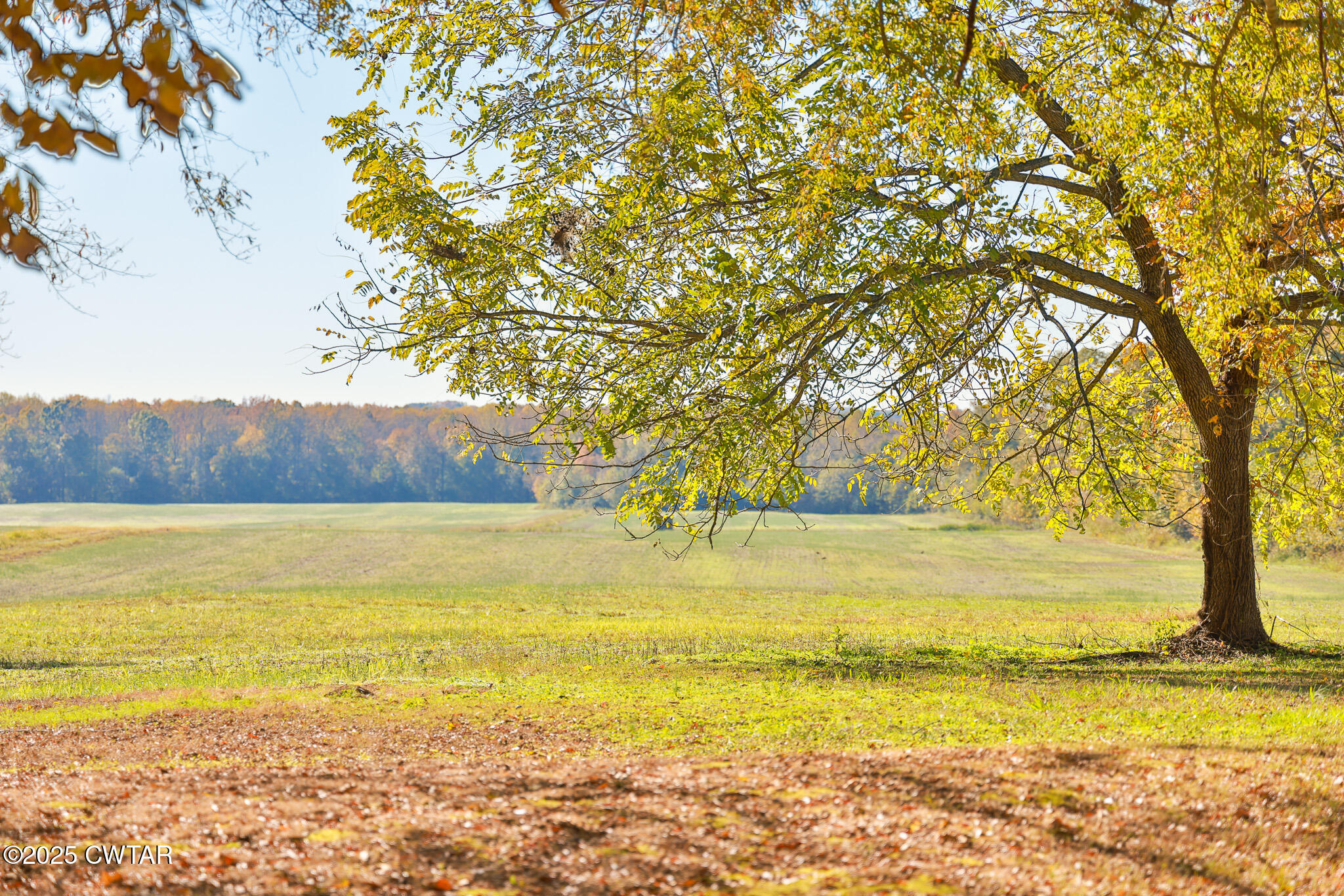 4030 Shades Bridge Road Greenfield, TN 38230 - Photo 27 of 27 a view of an ocean
