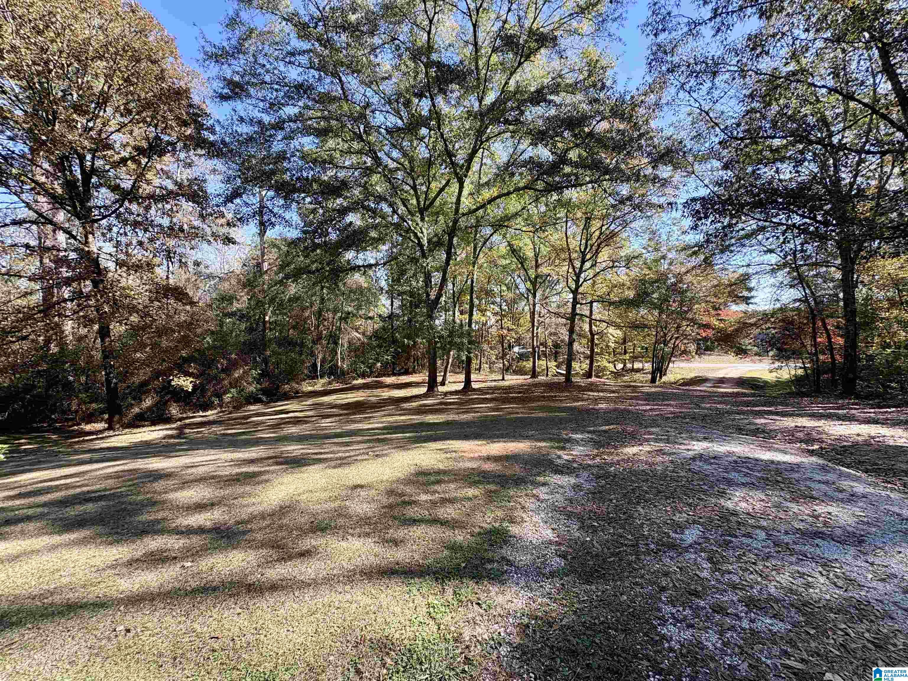 289 Olive Branch Road Ashland, AL 36251 - Photo 29 of 30