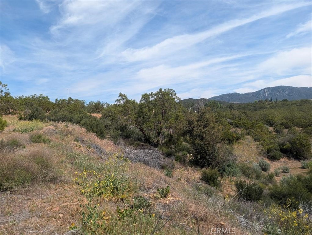 37120 Woodview Road Anza, CA 92539 - Photo 6 of 15