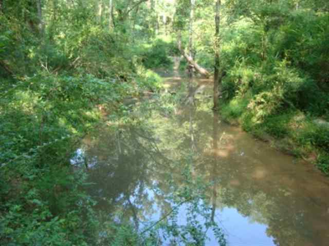 0 Dairy Road Ware Shoals, SC 29692 - Photo 2 of 10