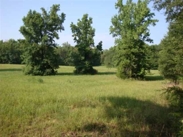 0 Dairy Road Ware Shoals, SC 29692 - Photo 3 of 10