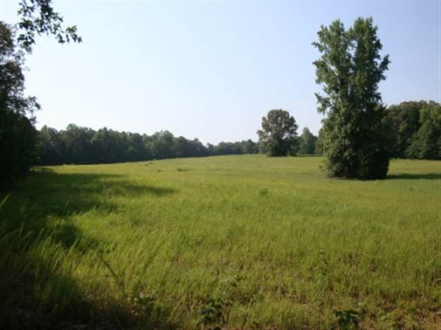 0 Dairy Road Ware Shoals, SC 29692 - Photo 4 of 10