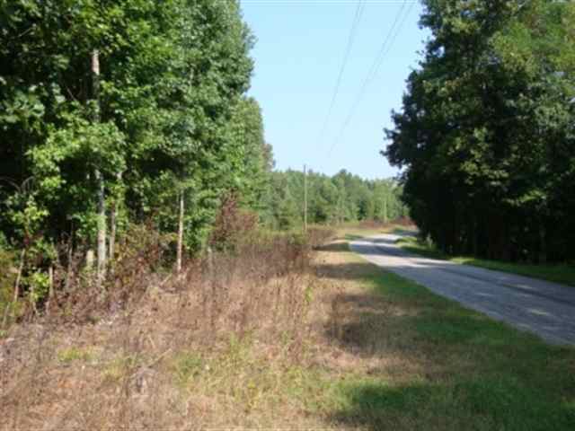 0 Dairy Road Ware Shoals, SC 29692 - Photo 5 of 10