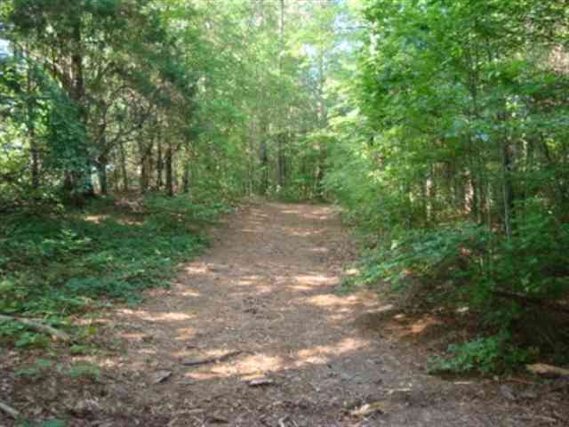 0 Dairy Road Ware Shoals, SC 29692 - Photo 6 of 10