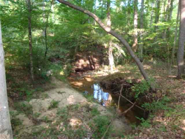 0 Dairy Road Ware Shoals, SC 29692 - Photo 7 of 10