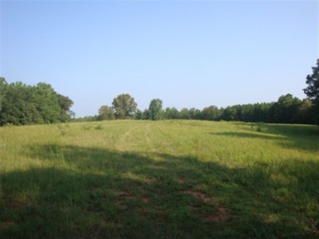0 Dairy Road Ware Shoals, SC 29692 - Photo 8 of 10