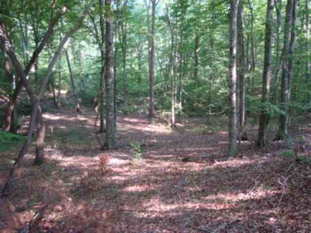 0 Dairy Road Ware Shoals, SC 29692 - Photo 9 of 10