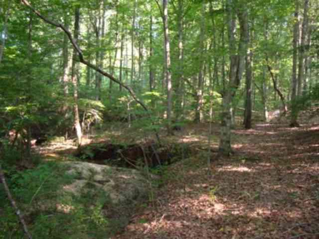 0 Dairy Road Ware Shoals, SC 29692 - Photo 10 of 10