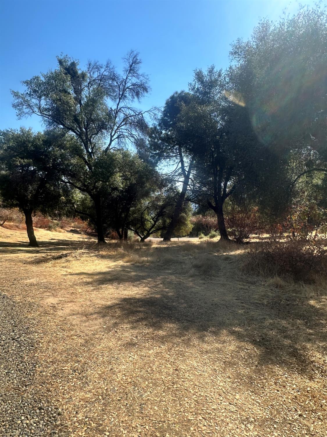 40845 Jean Road East Oakhurst, CA 93644 - Photo 12 of 16 a view of a yard with a house
