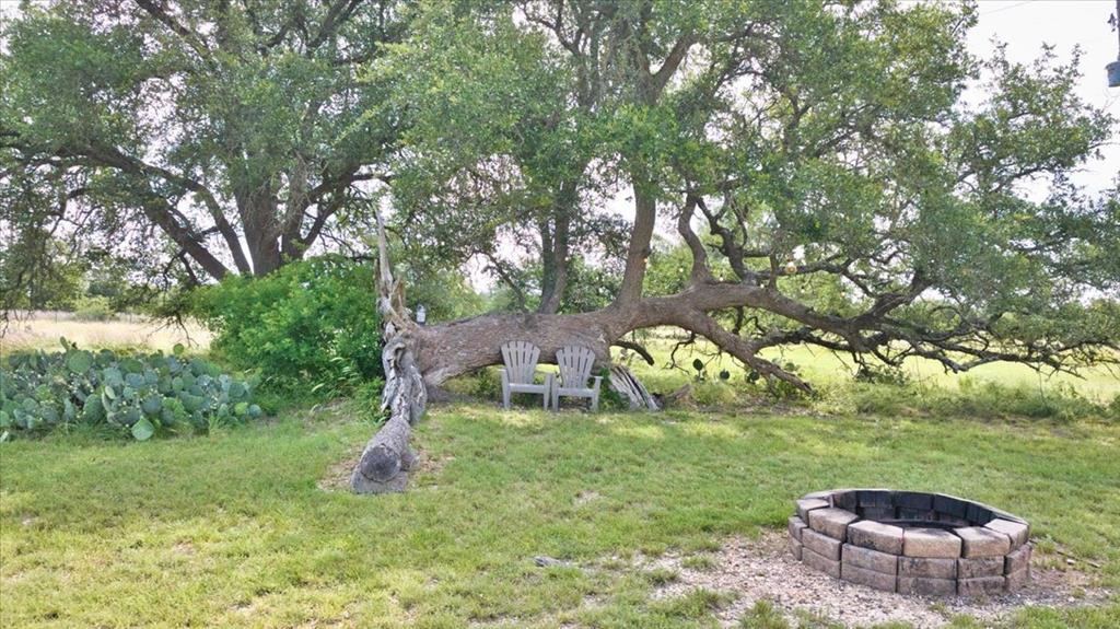 449 Jung Road Harper, TX 78631 - Photo 38 of 50