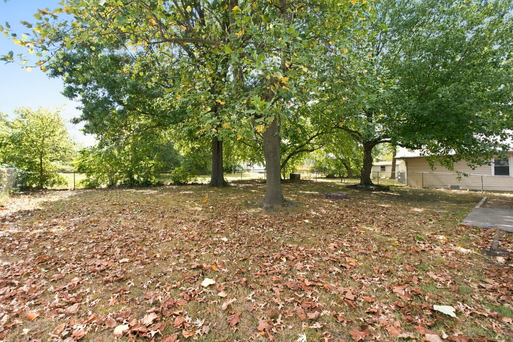 3046 West Countryside Drive Springfield, MO 65807 - Photo 21 of 25 21-web-or-mls-20260922-20260922-DSC08114