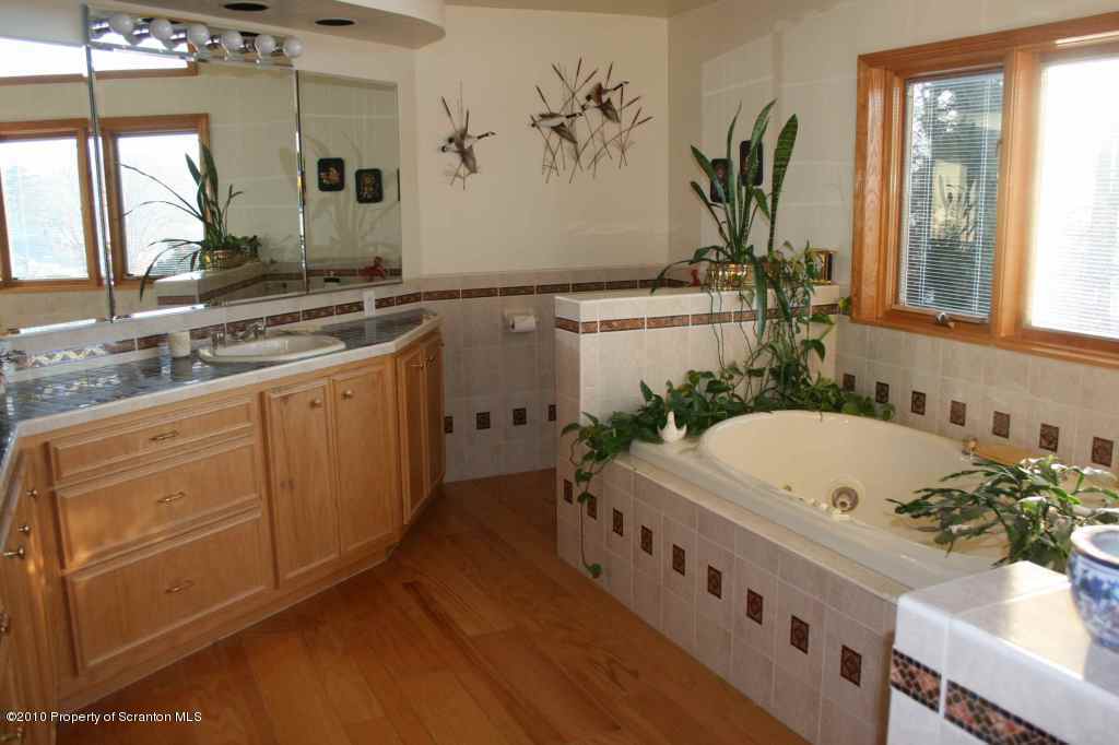 Rr1 Rr1 Road Factoryville, PA 18419 - Photo 9 of 19 a bathroom with a double vanity sink a mirror and a potted plant