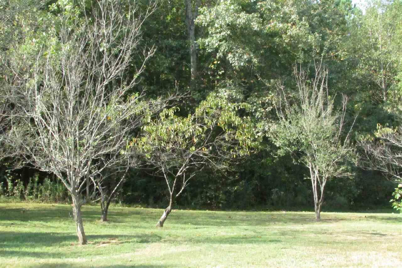 1531 Thomas Green Road Roxboro, NC 27574 - Photo 8 of 15