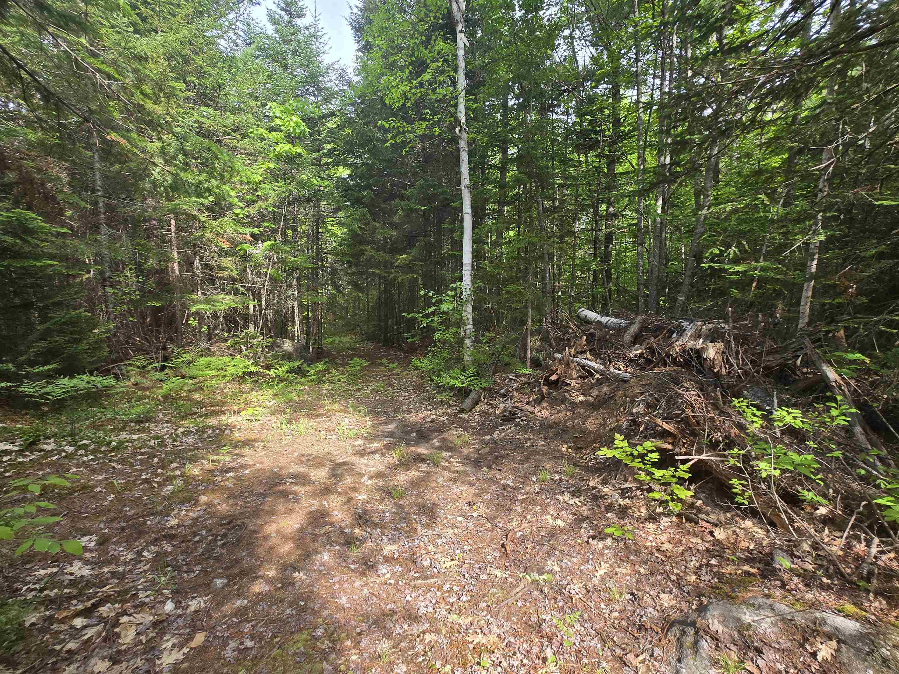 0 Thorn Hill Road, Unit R148B Jackson, NH 03846 - Photo 7 of 21