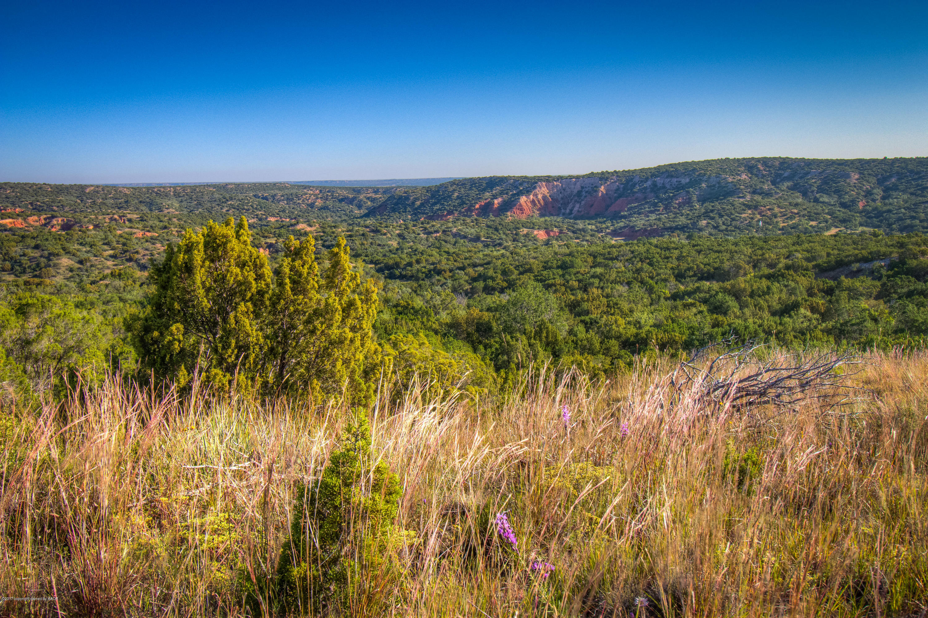 Willow Arroyo Ranch Claude, TX 79019 - Photo 54 of 66 049