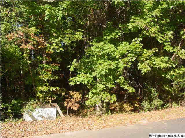 Old Choccolocco Road, Unit 73 Anniston, AL 36207 - Photo 8 of 30