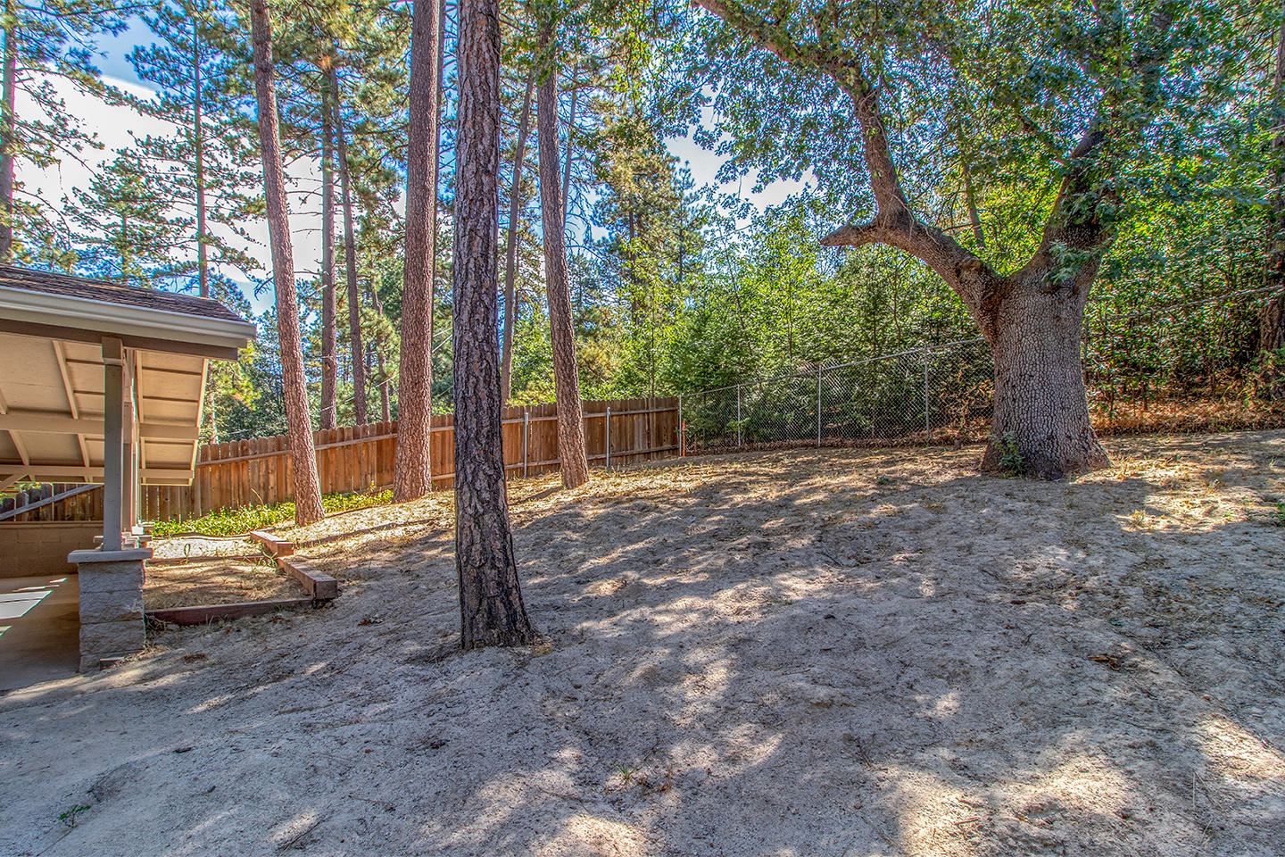 53475 Tollgate Road Idyllwild, CA 92549 - Photo 41 of 46 a view of a yard with patio