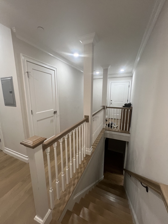 14 Mt Hood Road, Unit 2 Boston, MA 02135 - Photo 12 of 16