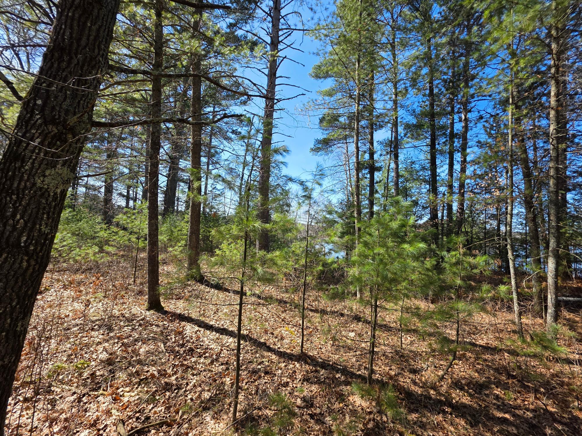 10023 Point O Pines Road Tomahawk, WI 54487 - Photo 13 of 25 Gallery Image 13