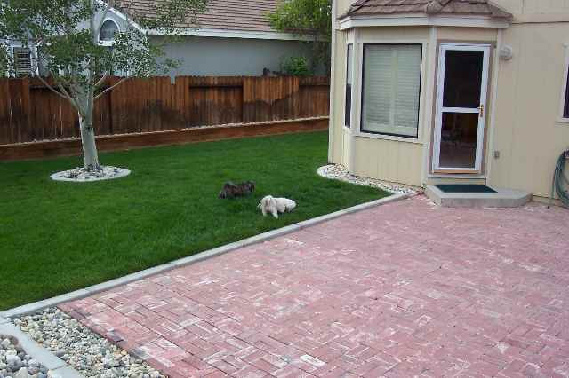 3108 Sweet Clover Street Reno, NV 89509 - Photo 6 of 7 a backyard of a house with lots of green space