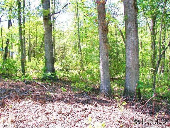 4 Jericho Drive, Unit 4 Rutherfordton, NC 28139 - Photo 1 of 4 Gallery Image 1