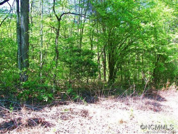 4 Jericho Drive, Unit 4 Rutherfordton, NC 28139 - Photo 3 of 4 Gallery Image 3
