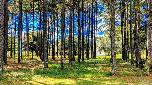 $359,000 | 3171 Sam Sullivan Road, Millry, AL 36558