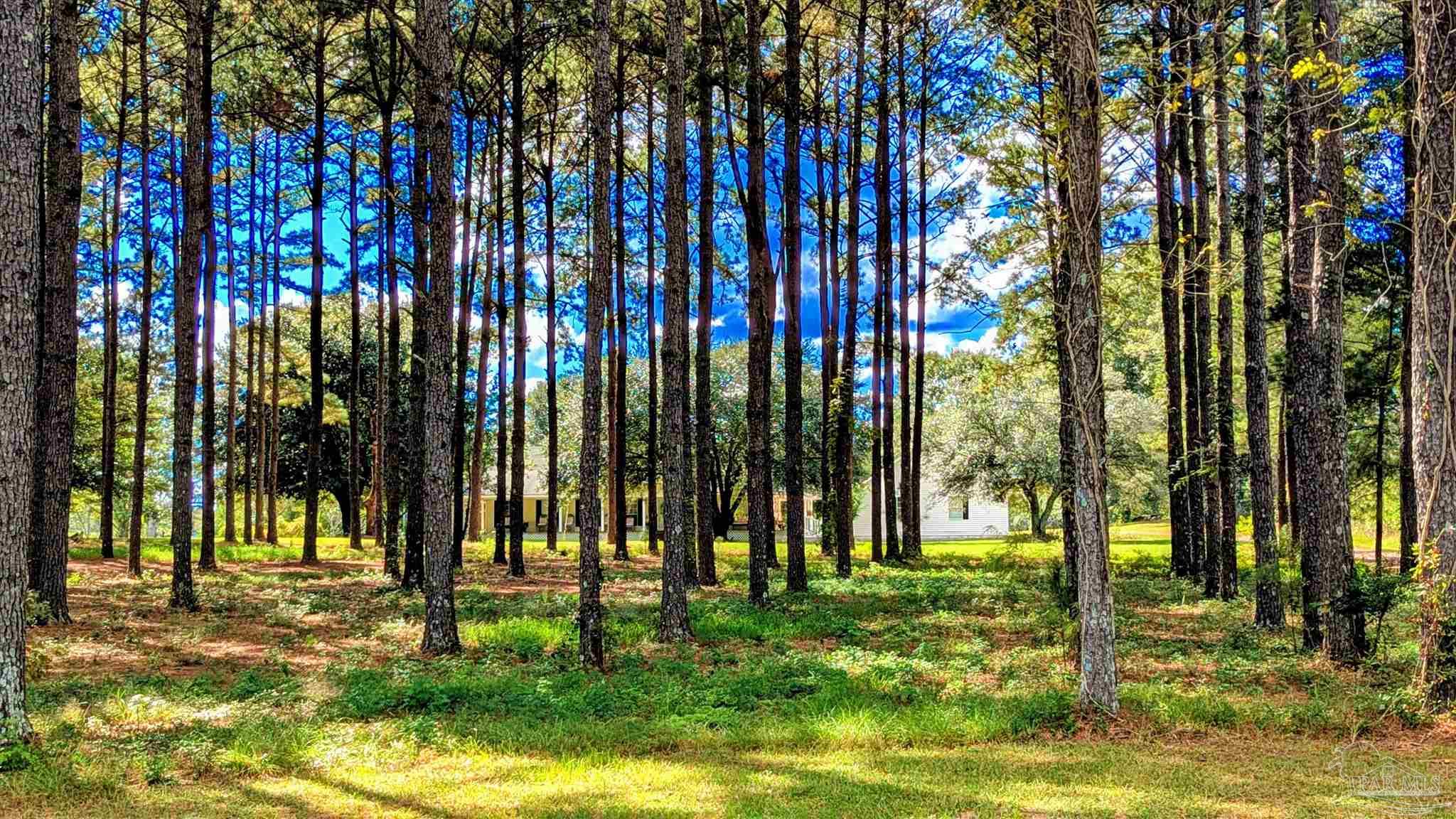 3171 Sam Sullivan Road Millry, AL 36558 - Photo 69 of 72 a view of yard with swimming pool and sitting area