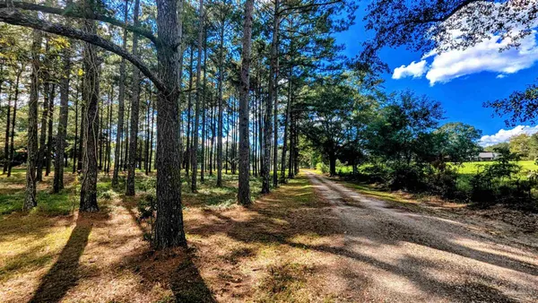 $315,000 | 3171 Sam Sullivan Road, Millry, AL 36558