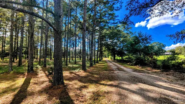 $359,000 | 3171 Sam Sullivan Road, Millry, AL 36558