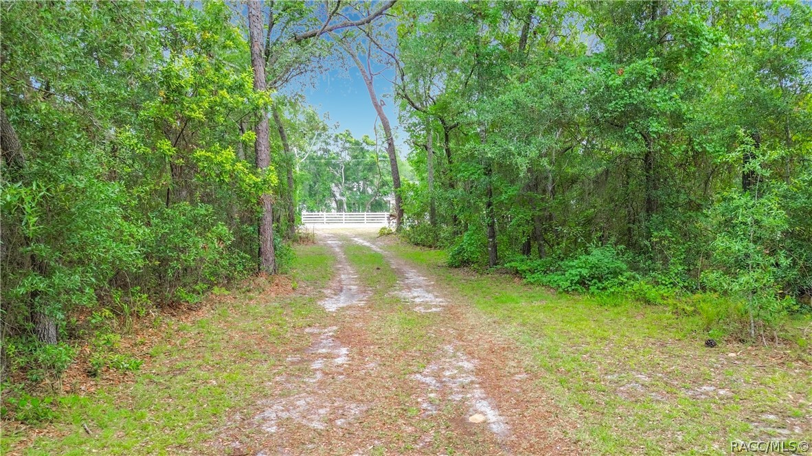 6687 West 7 Rivers Drive Crystal River, FL 34429 - Photo 59 of 68