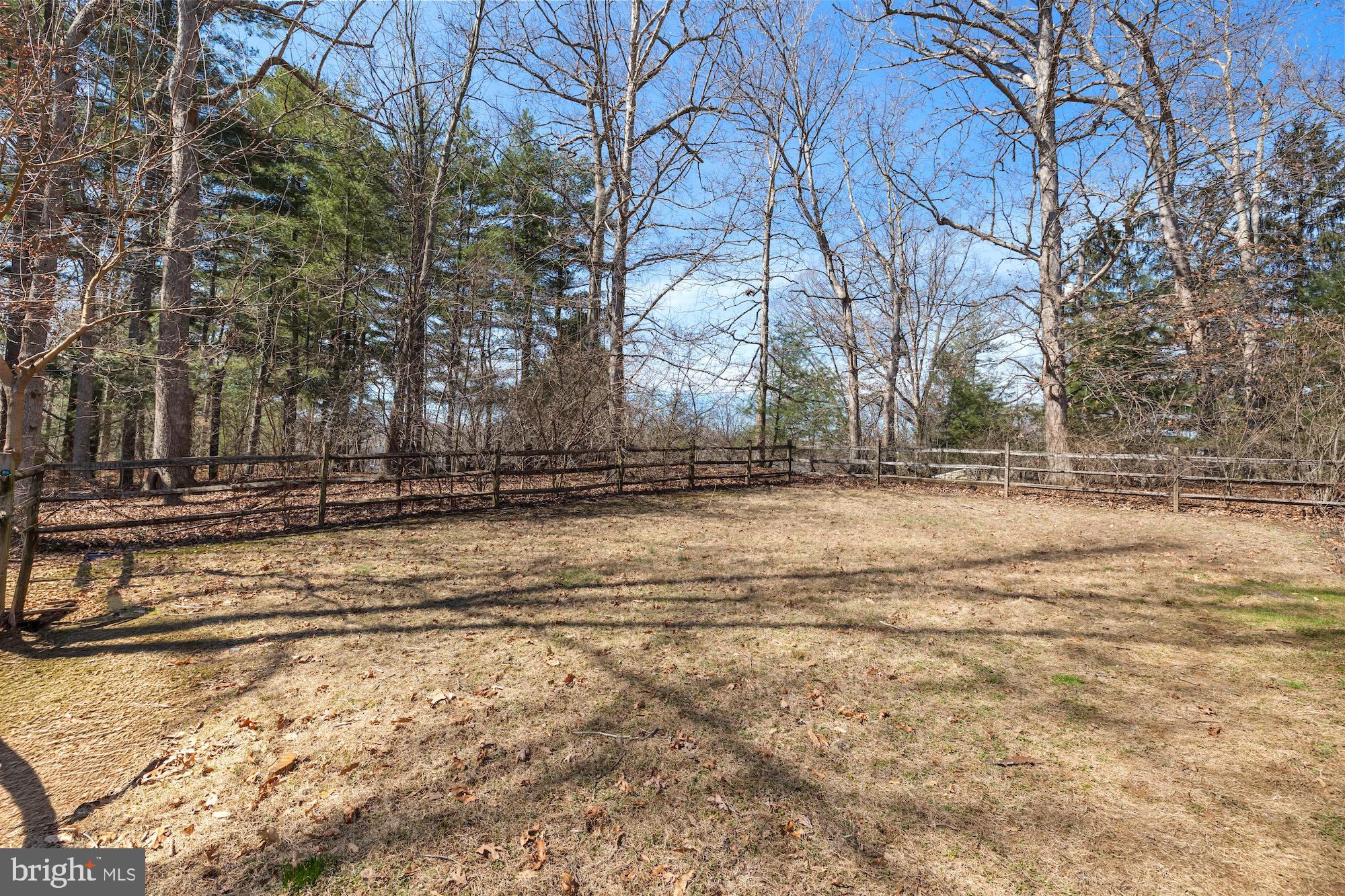 2300 Pin Oak Drive Finksburg, MD 21048 - Photo 41 of 52 a view of a yard with large trees