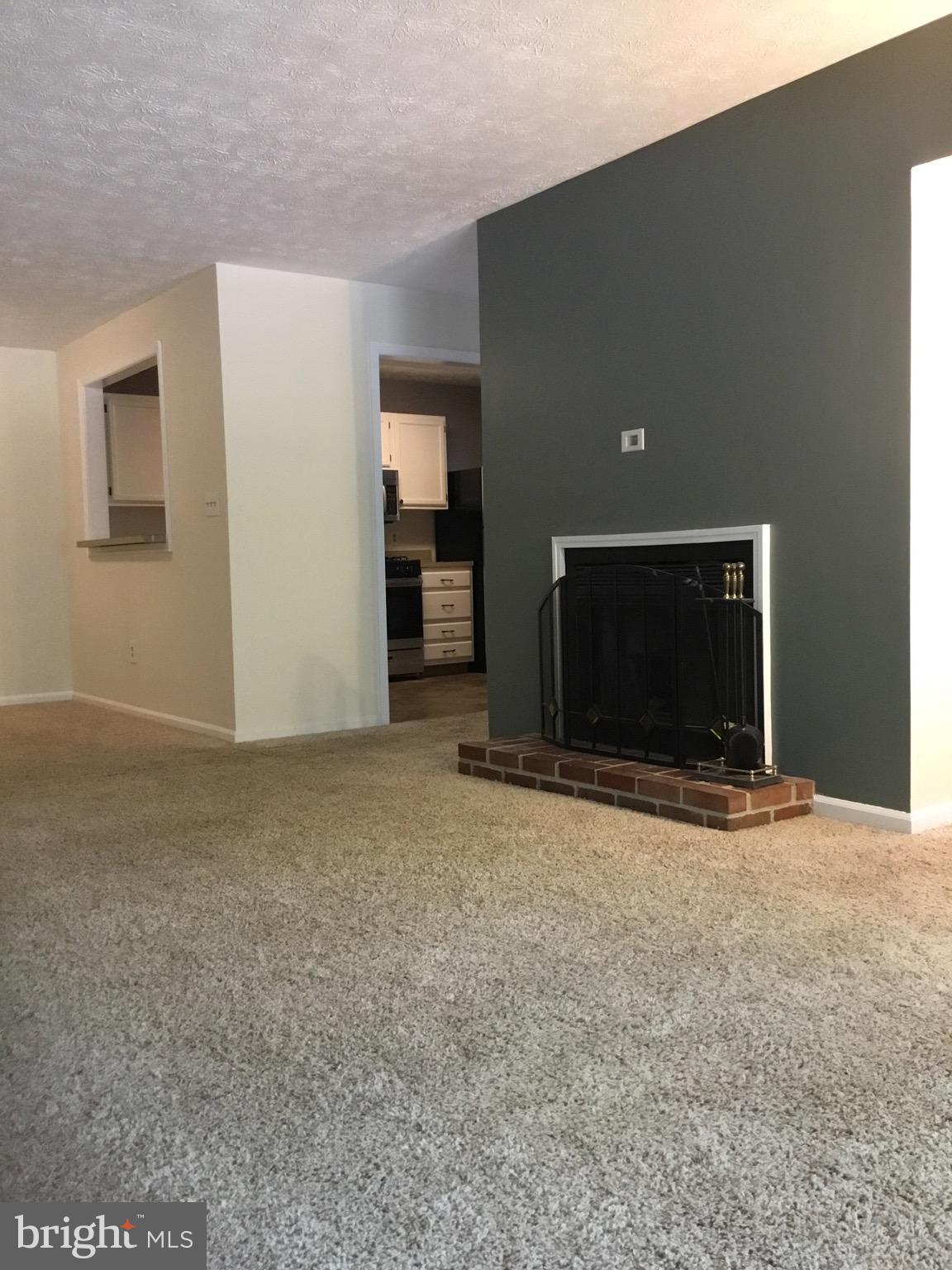 2215 Hunter's Run Drive, Unit 2215 Reston, VA 20191 - Photo 12 of 26 Gas Fireplace