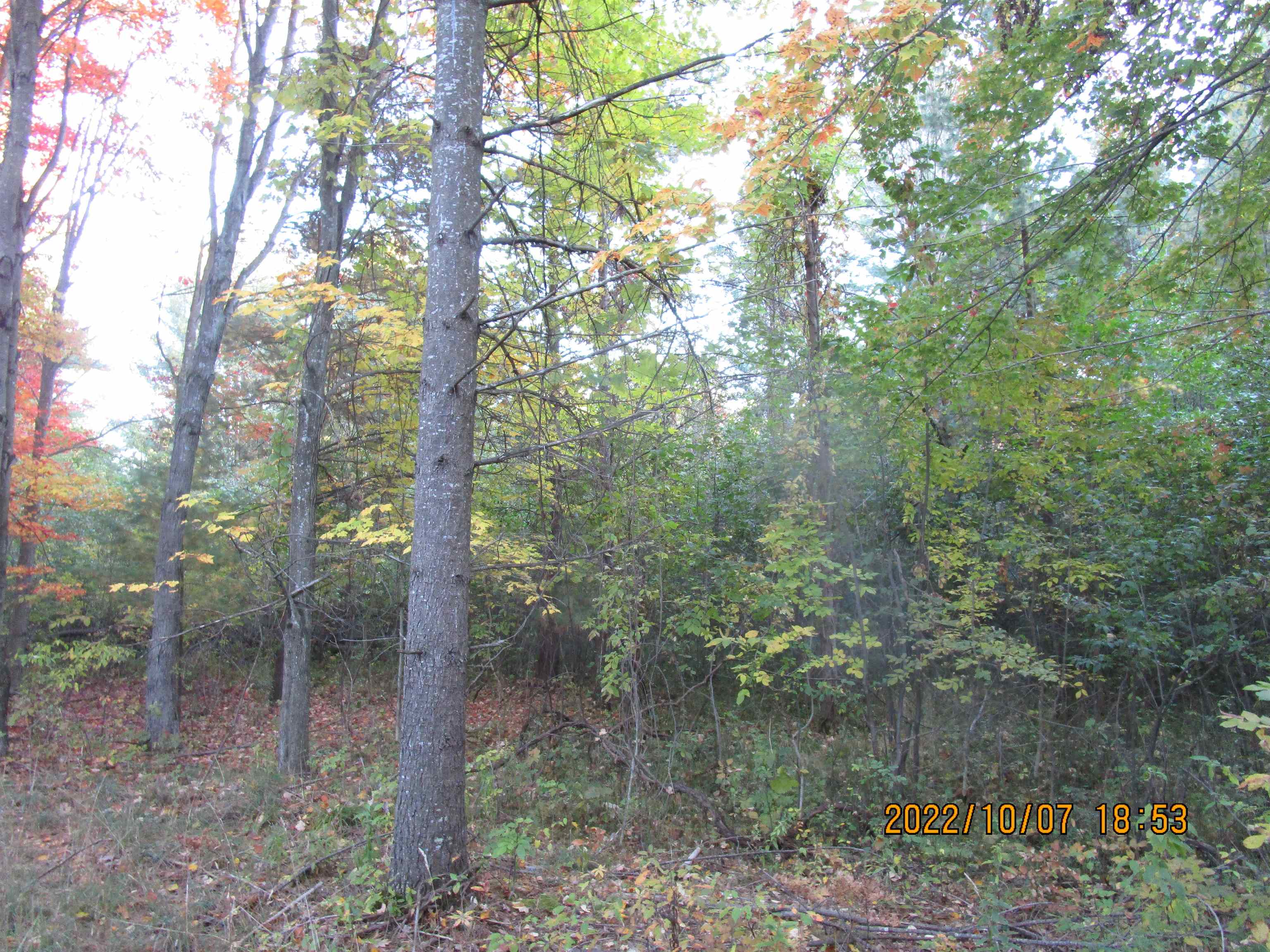 0 Miller Road, Unit ACCESS OFF MCARDLE East Tawas, MI 48730 - Photo 4 of 7
