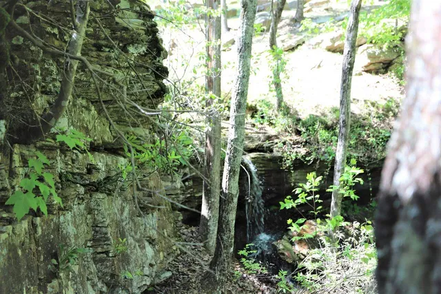 $1,595,000 | 223 South Brow Drive, Cloudland, GA 30731